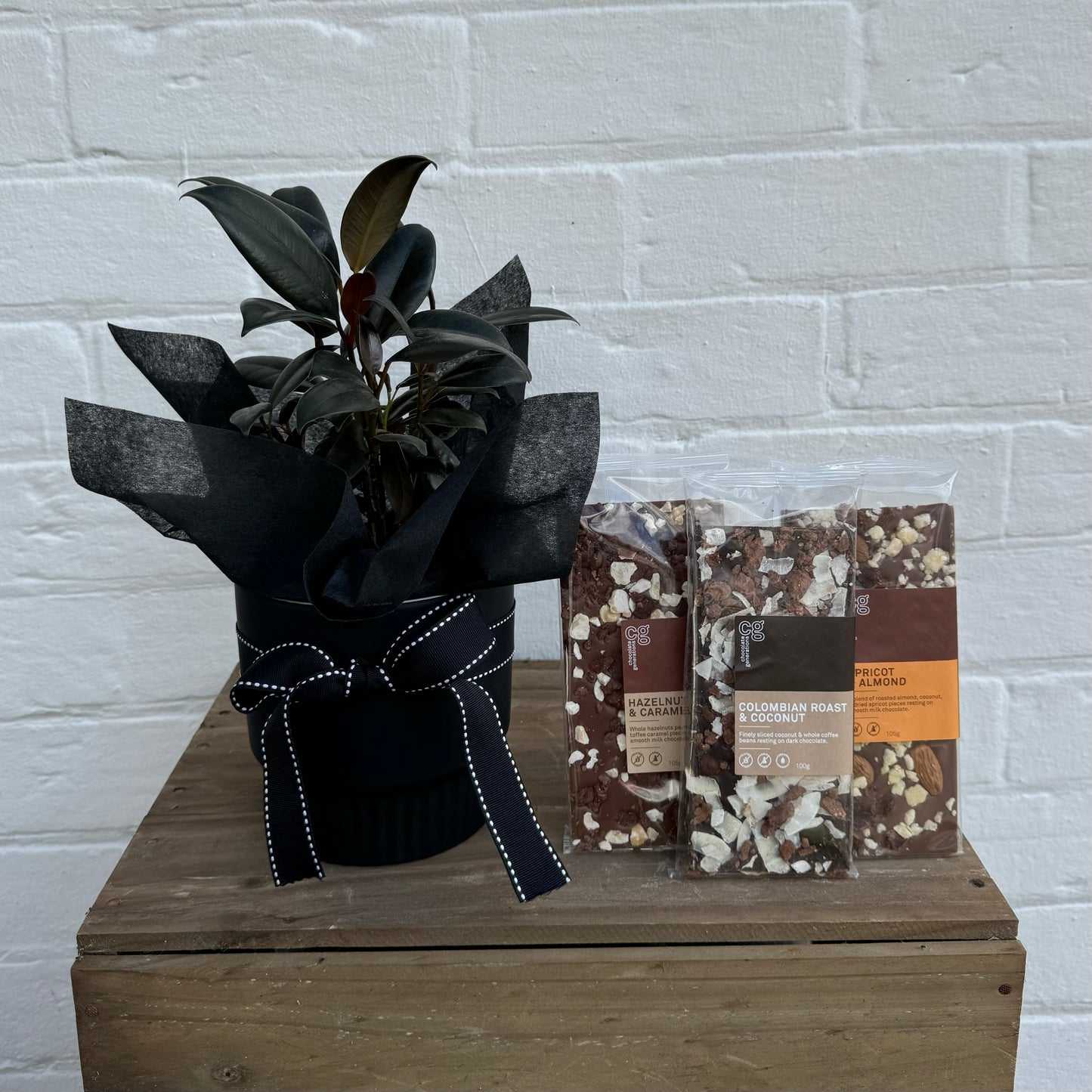 Plant & Choccy Duo