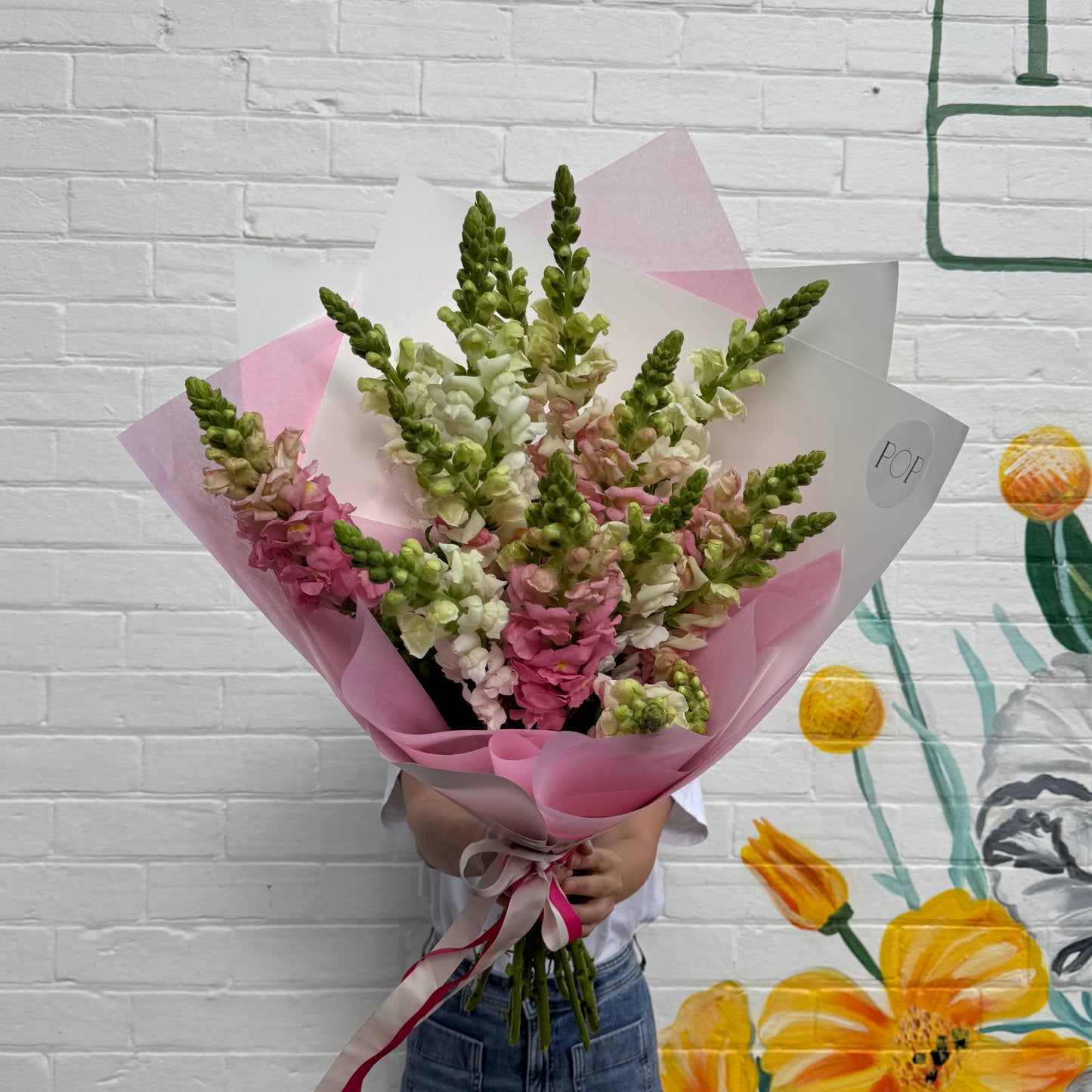 SNAPDRAGONS **special**