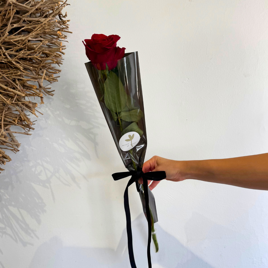Single Premium Rose