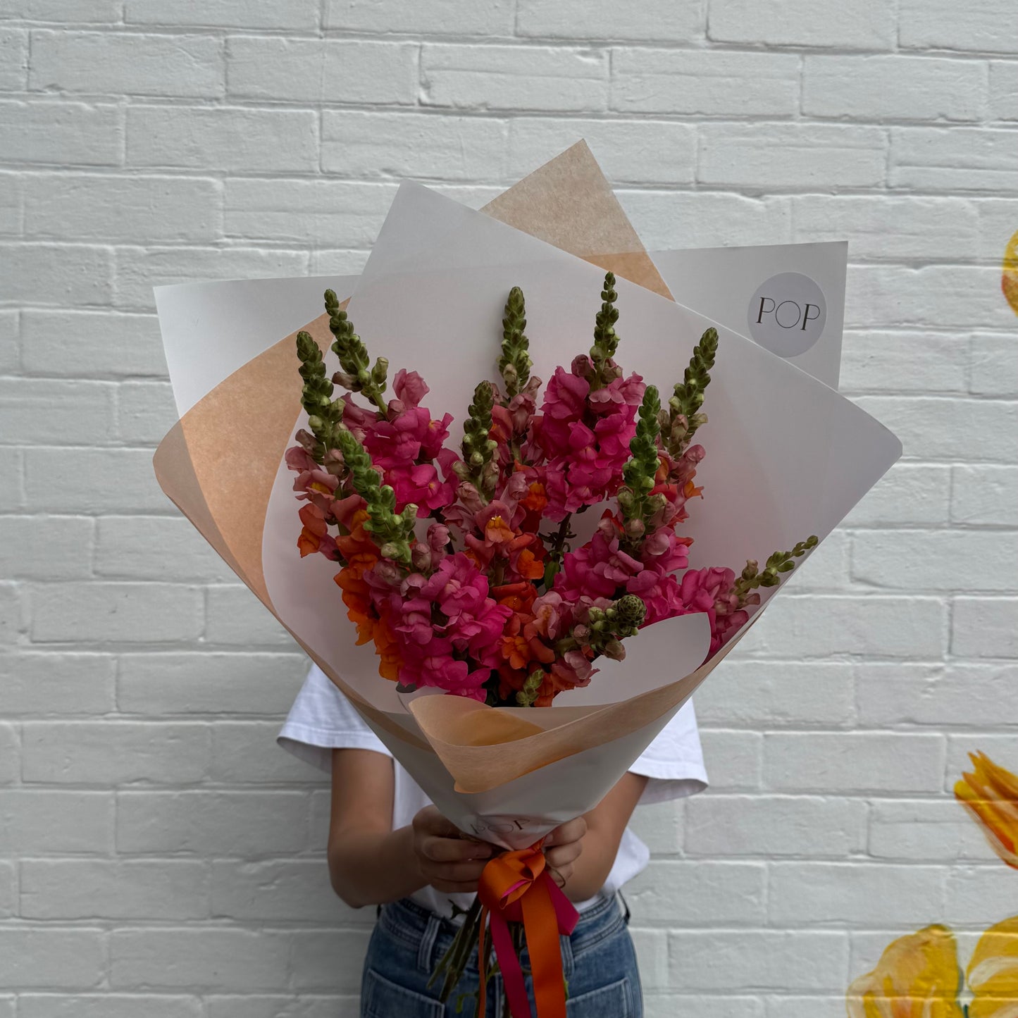 SNAPDRAGONS **special**