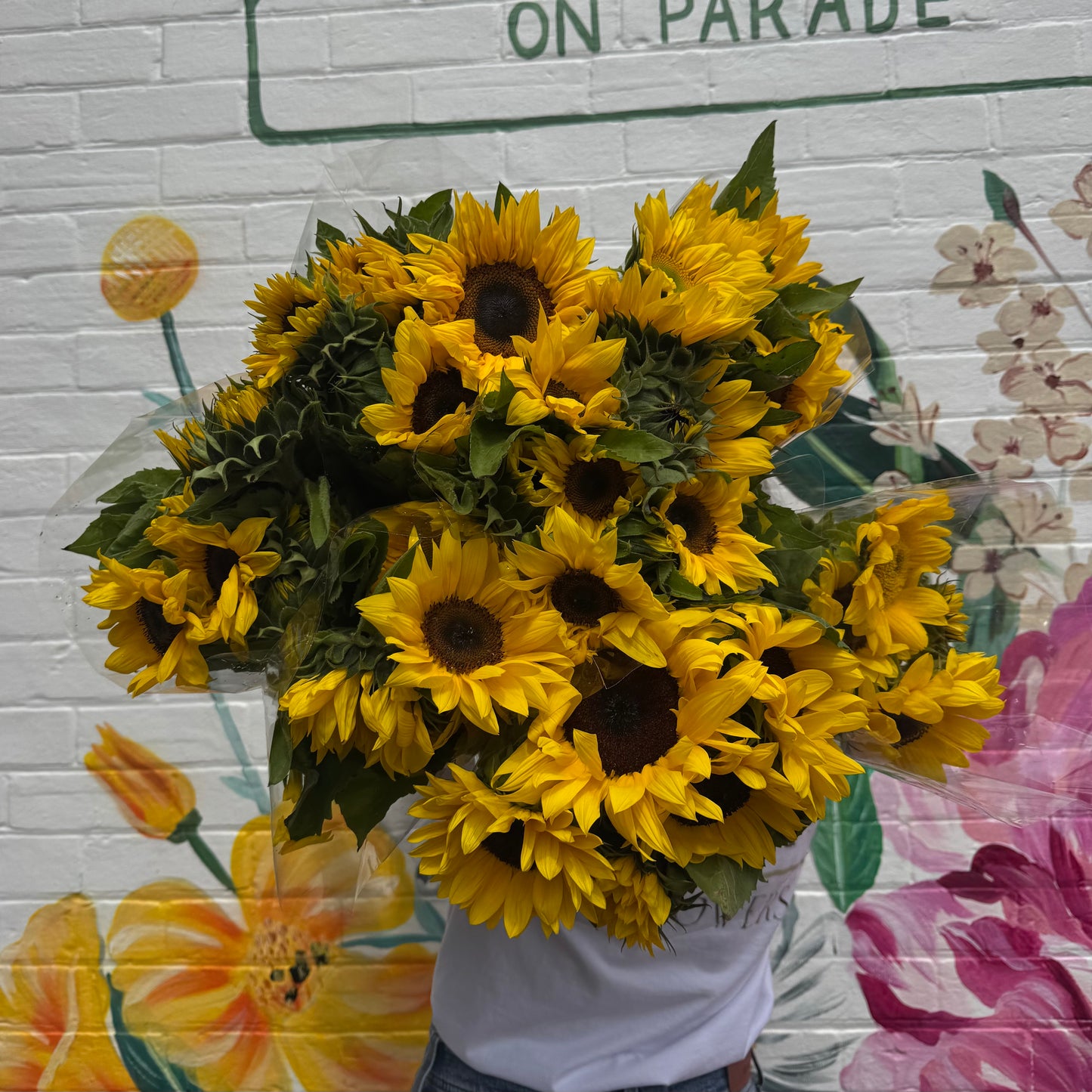 SUNFLOWERS **special**