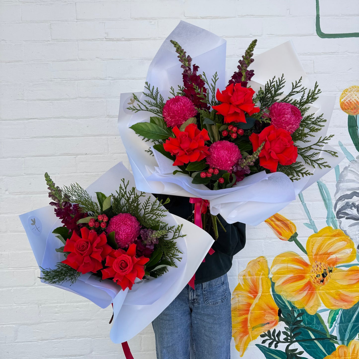 *PRE-ORDER* Candycane