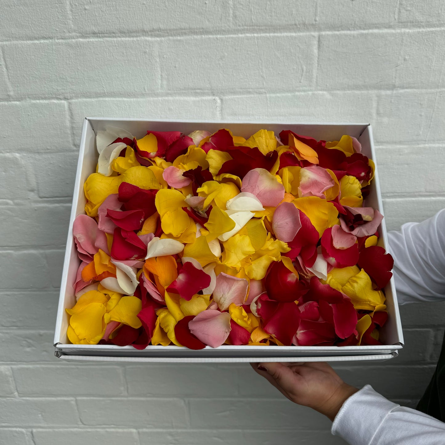 Rose Petals
