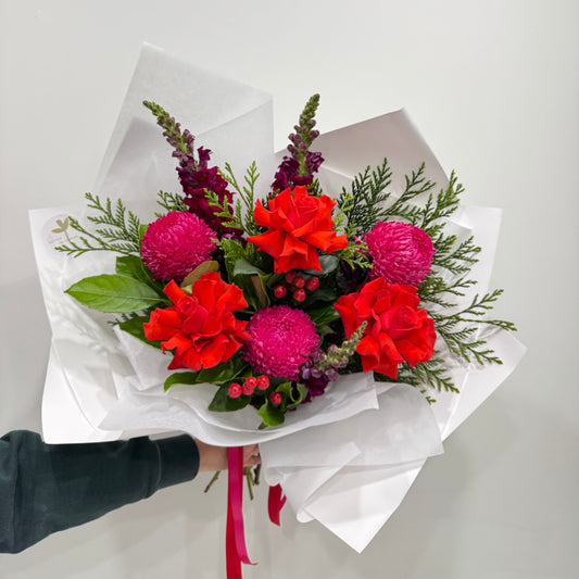 *PRE-ORDER* Candycane