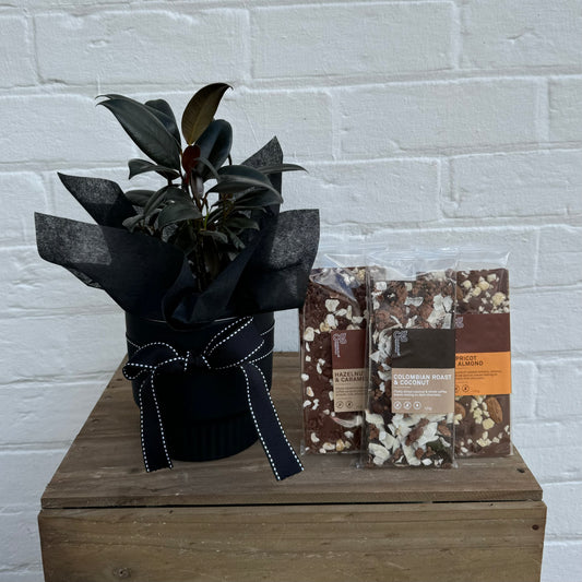Plant & Choccy Duo