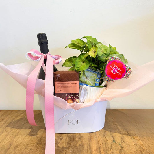 Plant Hamper