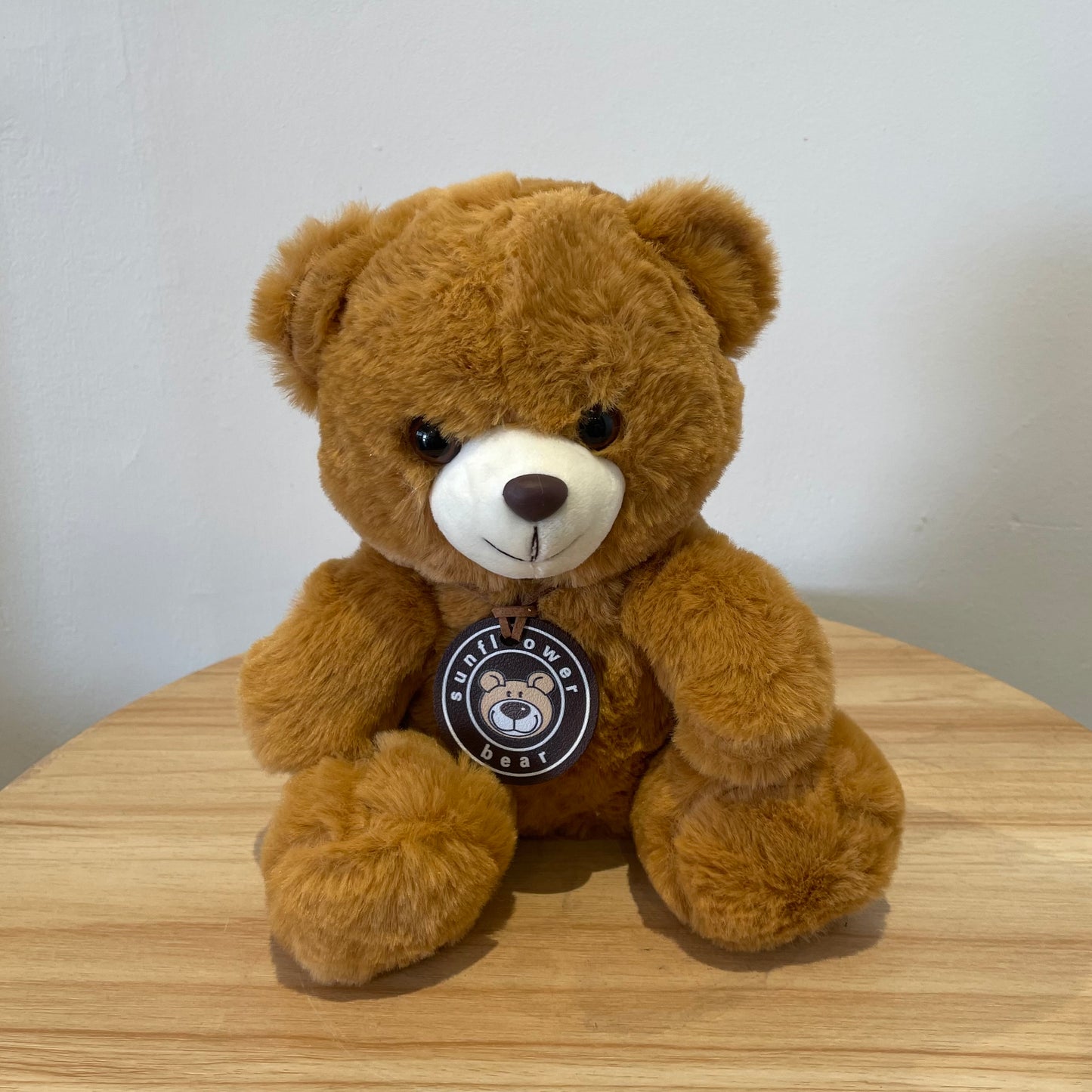 Fluffy Teddy Bear