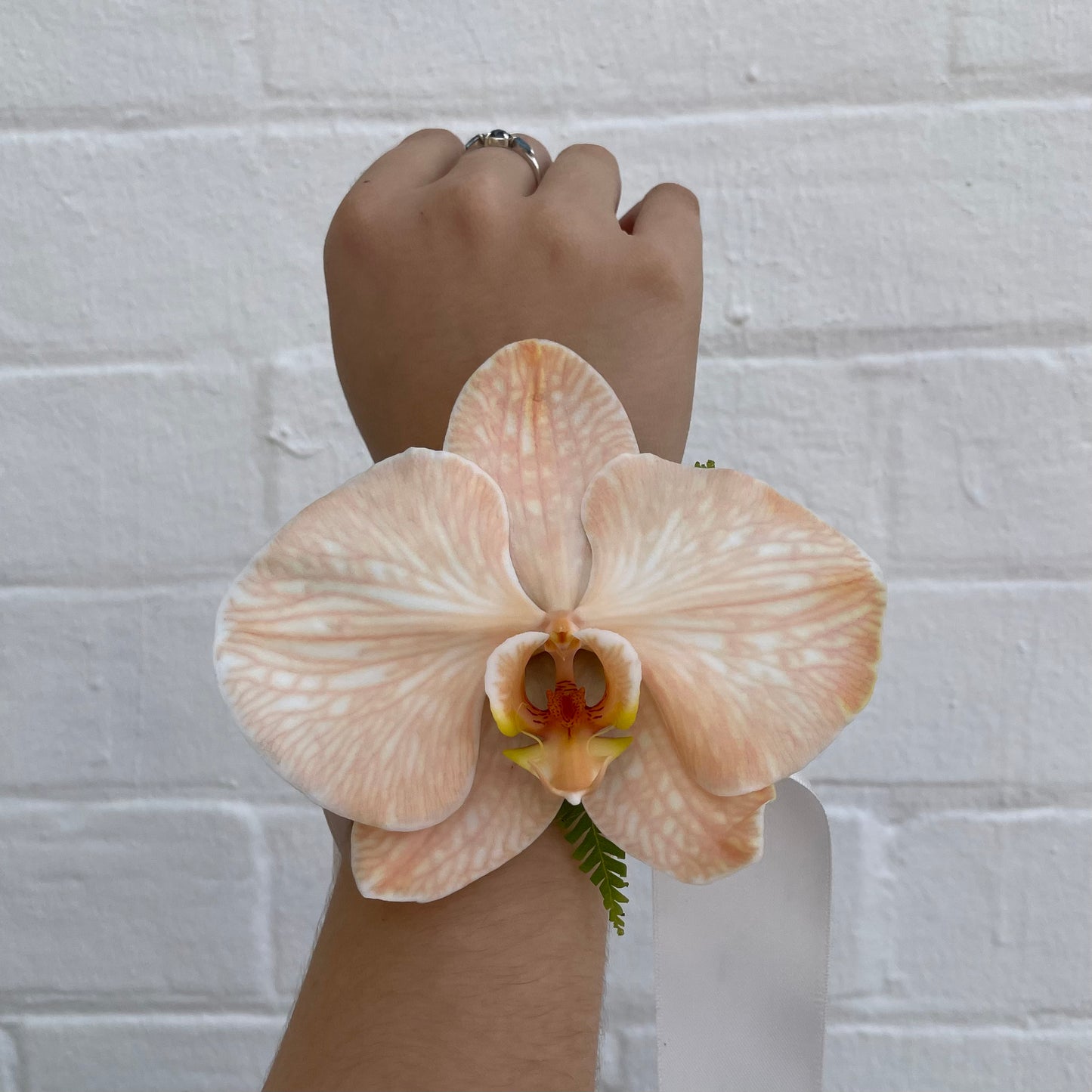 Phally Orchid Corsage