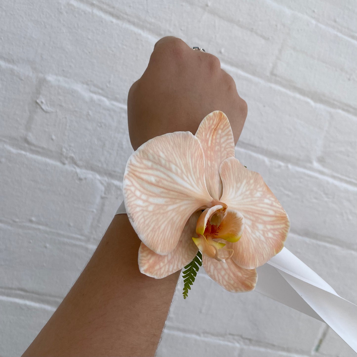 Phally Orchid Corsage