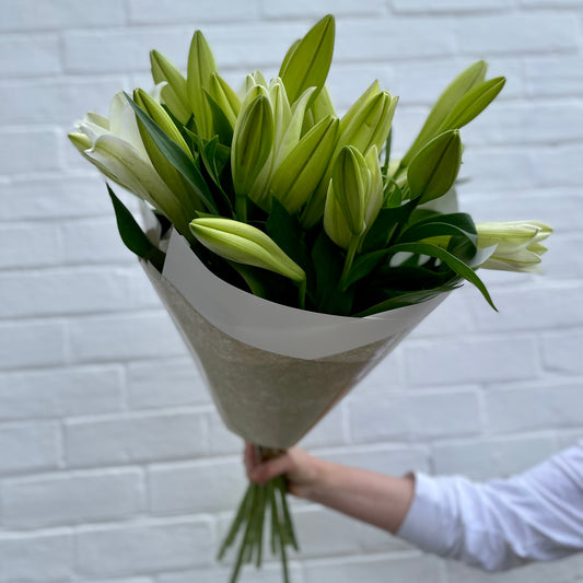 *PRE-ORDER* Christmas Lilly