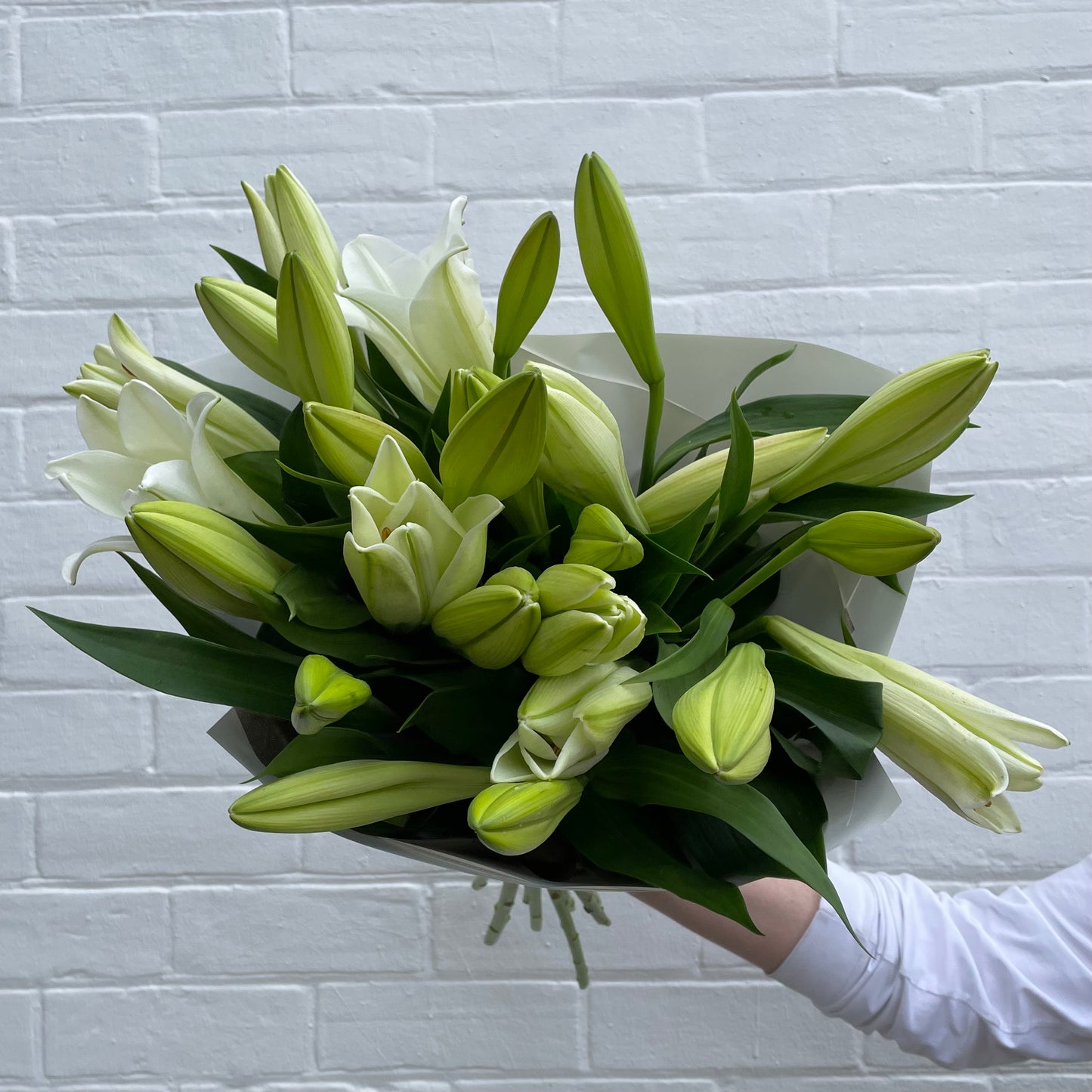 *PRE-ORDER* Christmas Lilly